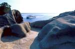 堂ヶ島の白色砂質凝灰岩層
